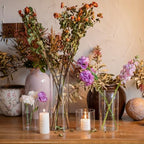 Devilfire 12Pcs Glass Cylinder vases for Centerpieces, 6 Inches Tall Flower Vases Wedding Decorations,Bulk Cylinder Flower& Plant Vases,Hurricane Candle Holder for Table Shelf, Party.