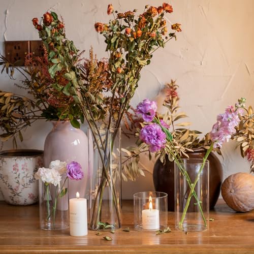 Devilfire 12Pcs Glass Cylinder vases for Centerpieces, 6 Inches Tall Flower Vases Wedding Decorations,Bulk Cylinder Flower& Plant Vases,Hurricane Candle Holder for Table Shelf, Party.