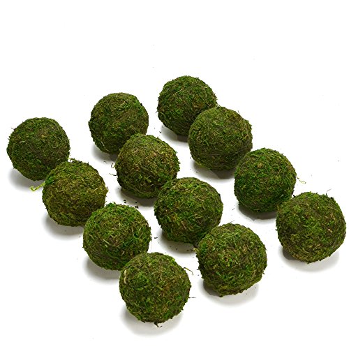 BYHER Natural Green Moss Decorative Ball,Handmade (2"-Set of 12) - size: Small-2"-Set of 12
