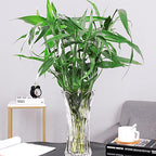 Dicunoy Set of 2 Glass Flower Vase, 9.5" Large Flower Vases for Centerpieces, Modern Clear Heavy Duty Crystal Tall Cylinder Flared Vase for Rose Bouquet, Home, Wedding, Living Room, Office