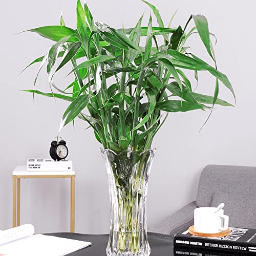 Dicunoy Set of 2 Glass Flower Vase, 9.5" Large Flower Vases for Centerpieces, Modern Clear Heavy Duty Crystal Tall Cylinder Flared Vase for Rose Bouquet, Home, Wedding, Living Room, Office
