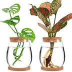 Biggun Plants Propagation Station - 2Pcs Desktop Plant Terrarium Glass Hydroponic Vases, Water Plant Jars, Gardening Gifts for Women Mom Plant Lovers (Water Drop Shape, Separated Tray Style)