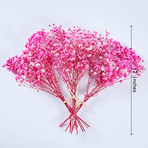 Preserved Baby's Breath 3 Bunches, 100% Natrual Fresh Gypsophila Long Lasting Flowers for Vase Arrangements Home Decoration Photo Props Parties and Weddings, DIY Décor-Pink - color: Pink