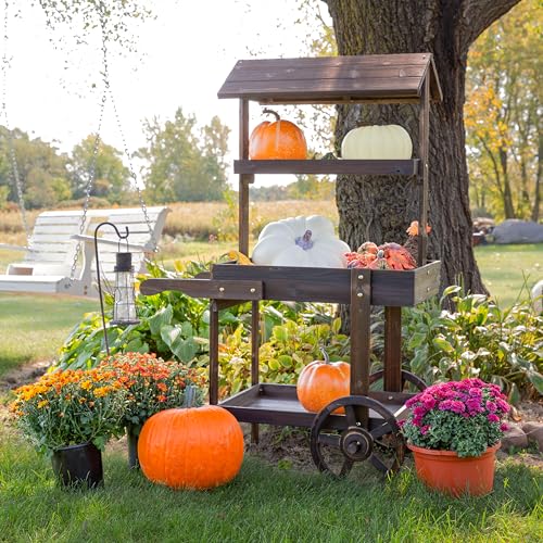 Sunnydaze Country Market Flower Cart Display Stand with Wheels - 2 Shelves - Fir Wood - 30 lb Weight Capacity - Charred Fir - color: Charred Fir