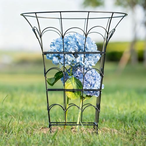 COOOXIM 27.5 x 22 Inches Peony Cages & Supports - Heavy Duty Metal Plant Obelisk Trellis for Outdoor Use, Perfect for Peonies, Roses, and Climbing Vines - Durable Garden Support Ring in M Shape - size: 27.5"x22"