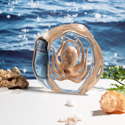 Taxidermy Octopus, Real Octopus Specimens Animal Specimen in Resin for Science Classroom Science Education, Great Gift for Fans of Taxidermy, Animal Skull, Oddities, Biology (Irregularly) - color: Octopus B