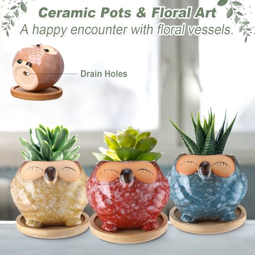 Cindeer 18 Pcs 2.5 Inch Owl Ceramic Succulent Planter Pots Mini Small Ceramic Pots with Drainage Hole and Bamboo Tray for Succulents Glaze Cactus for Home Garden Office Desk Decoration Gift Ideas - style: Owl