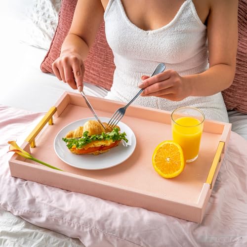 Home Redefined Modern Elegant 17.5"x12" Rectangle Baby Pink Tray Glossy Shagreen Faux Leather Decorative Ottoman Coffee Table Perfume Dresser Kitchen Serving Tray with Gold Polished Metal Handles. - color: Baby Pink & Gold