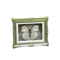 1Pcs Real Butterfly Framed Handmade, Taxidermy Butterfly Shadow Box Collection, Framed Butterfly Taxidermy for Oddities and Curiosities Gifts Tabletop Ornaments (M-Butterfly Specimen+Photo Frame) - color: M-butterfly Specimen+photo Frame
