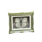 1Pcs Real Butterfly Framed Handmade, Taxidermy Butterfly Shadow Box Collection, Framed Butterfly Taxidermy for Oddities and Curiosities Gifts Tabletop Ornaments (M-Butterfly Specimen+Photo Frame) - color: M-butterfly Specimen+photo Frame