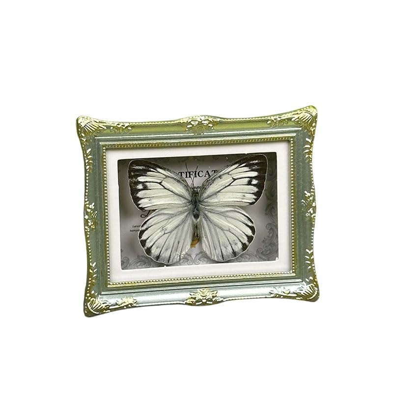 1Pcs Real Butterfly Framed Handmade, Taxidermy Butterfly Shadow Box Collection, Framed Butterfly Taxidermy for Oddities and Curiosities Gifts Tabletop Ornaments (M-Butterfly Specimen+Photo Frame) - color: M-butterfly Specimen+photo Frame