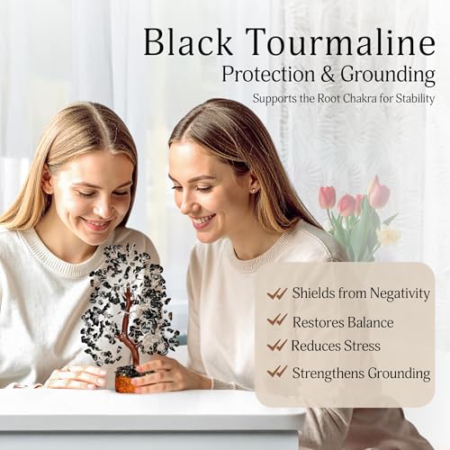 YATSKIA Black Tourmaline Gemstone Tree - Crystal Tree of Life - Crystals and Stones Home Office Decor - Good Luck Gifts for Women - color: Black Tourmaline Silver Wire