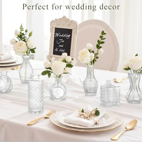 DomeStar 16PCS Glass Bud Vases Set, Small Clear Cylinder Vases for Plant Propagation Station Plant Terrarium, Vintage Clear Bud Vase in Bulk for Rustic Wedding Centerpieces Home Table Flower Decor