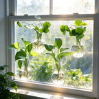 Bunmery 4 pcs Window Propagation Stations, Easy to Install Plant Propagation Bulbs with Suckion Cups, No Nails Wall Hanging Planter Propagation Station, Glass Plant Terrarium Vase - color: Clear Bulb, size: 4 PCS
