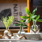 Propagation Stations, Propagation vases with Wooden Stand, Small Tabletop Glass Bulb Vases for Hydroponics Plant Propagation Station Home Office Decoration, Gift for Women Plant Lovers (2)