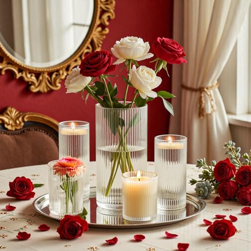 6 Pack Ribbed Glass Cylinder Vases 4,6,10 Inch Tall Clear Flower Vase Hurricane Floating Candle Holder for Table Centerpiece Wedding Home Decor - size: 6 Pack Ribbed(4,6,10 Inch)