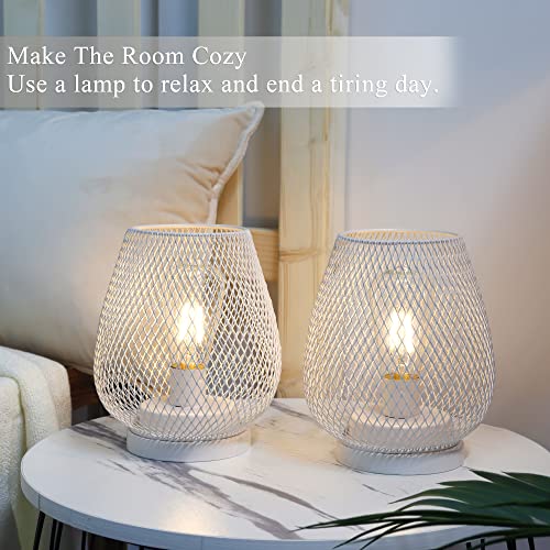 JHY DESIGN Set of 2 Metal Cage LED Lanterns Battery Powered Cordless Accent Light with LED Great for Weddings Parties Patio Events for Indoors Outdoors(White) - style: Set of two White egg