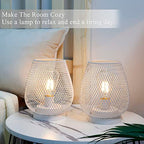 JHY DESIGN Set of 2 Metal Cage LED Lanterns Battery Powered Cordless Accent Light with LED Great for Weddings Parties Patio Events for Indoors Outdoors(White) - style: Set of two White egg
