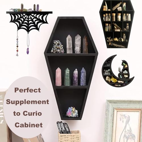 10Pcs Mystery Natural Oddities Collection Box - Real Fossils, Crystals & Taxidermy in Glass Vials | Dark Academia Decor for Adults & Kids | Witchy Curio Cabinet Decor | Unique Gifts for Science Lovers - style: 10PCS