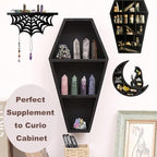 6Pcs Mystery Natural Oddities Collection Box - Real Fossils, Crystals & Taxidermy in Glass Vials | Dark Academia Decor for Adults & Kids | Witchy Curio Cabinet Decor | Unique Gifts for Science Lovers - style: 6Pcs