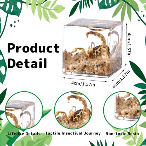 4Pcs Insect Taxidermy in Resin, Interesting Square Microlandscape Insect Specimen Set for Back-to-School Gifts Oddities Bug Collection Paperweights Science Education Supplies (1.57x1.57 inch) - color: Insect A