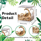 4Pcs Insect Taxidermy in Resin, Interesting Square Microlandscape Insect Specimen Set for Back-to-School Gifts Oddities Bug Collection Paperweights Science Education Supplies (1.57x1.57 inch) - color: Insect A