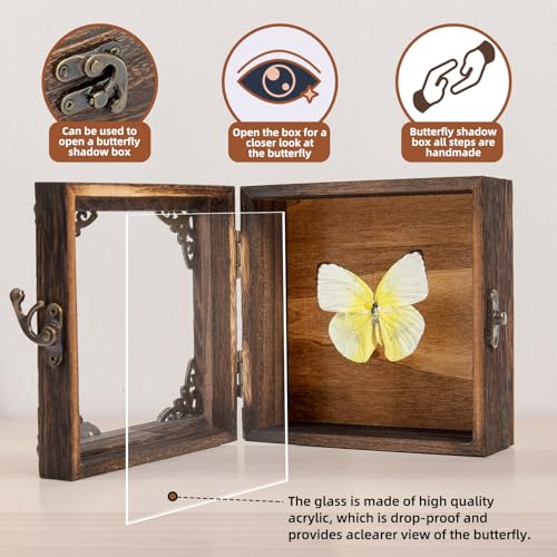 Real Taxidermy Butterfly Shadow Box - Framed Butterfly Taxidermy Unique Metal Pushpin Fixation, Goth Gifts Butterfly Decoration Box (Yellow migratory Pink Butterfly (Family Papilionidae)) - color: Yellow Migratory Pink Butterfly (Family Papilionidae)