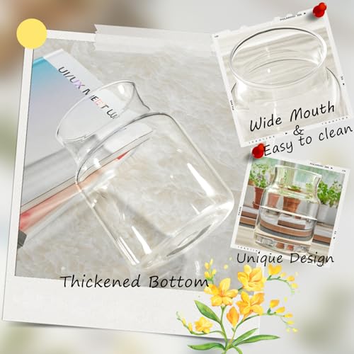 Clear Glass Vase, Large Flower Vase, 8-inch Glass Flower Vase for Plants, Wide Mouth Vase for Home, Wedding, Living Room, Dining Table - size: 6"W x 8“H
