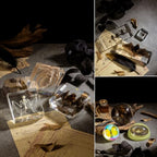 Real Spider Specimen in Resin - with Simulated Spider Web, Perfect for Science Education, Oddities Collectors, and Biology Enthusiasts(Spider Specimen) - color: Spider Specimen