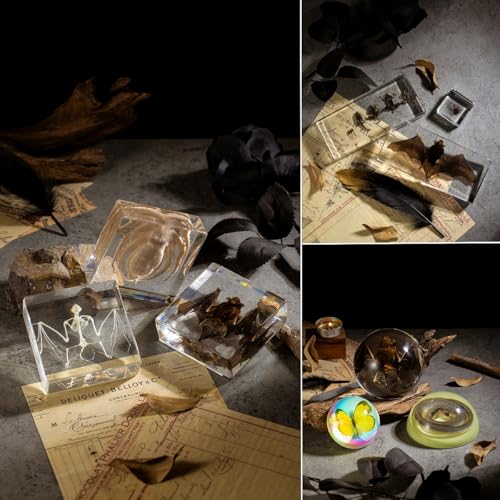Real Spider Specimen in Resin - with Simulated Spider Web, Perfect for Science Education, Oddities Collectors, and Biology Enthusiasts(Spider Specimen) - color: Spider Specimen