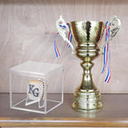 3 Pack Championship Ring Display Case Clear Acrylic Display Case Mini Football Baseball Softball Ring Holder Display Box Single Coin Stand 1 Slot Ring Hole Storage Box for Sports Fans, 2.16 Inch - size: 3 Pack