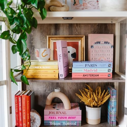 PROBENEX Velvet Medium | 4 PCS Faux Decorative Books for Home Decor | Not Real Books (Cardboard Boxes) | Coffee Table, Shelf Styling & Modern Aesthetic Accent Pieces for Living Room, Office - color: Velvet_medium