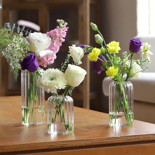 24Pcs Glass Cylinder Vases, Clear Ribbed Bud Vases for Centerpieces Weeding Decoration, Tall Clear Flower Vases in Bulk for Table Shelf, Party(Ribbed)