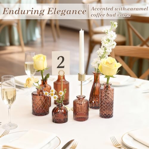 TBWIND 12-Piece Glass Bud Vase Set – Small Caramel Coffee Brown Etched Glass Vases with Unique Shapes and Weighted Base for Windowsills, Bathrooms, and Table Centerpiece Décor - color: Caramel Brown-12pcs