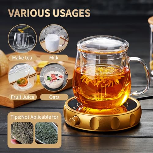 DOPUDO Large Glass Tea Cup, 25.6 oz Borosilicate Glass Tea Mug with Infuser and Lid, Clear Tea Cups for Brewing Scented Tea and Tea Bag. - size: 25.6OZ