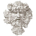 Design Toscano Bacchus, Grape Harvest Wine Greek Greenman Face Wall Sculpture, Medium, 12 inches tall, Cast Stone Resin, Antique Stone Finish - size: Medium, 12 Inch