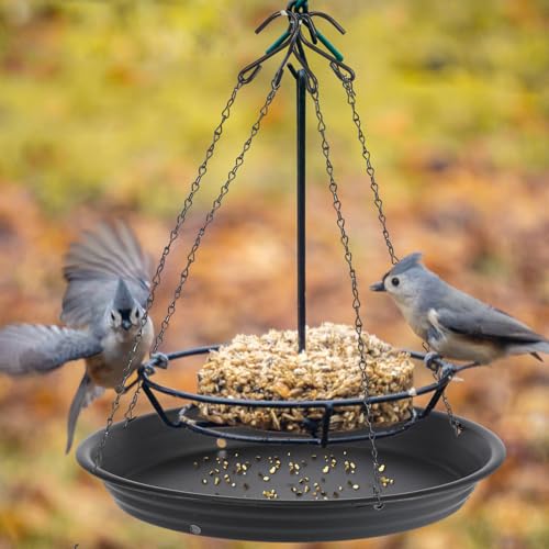 Briwooody 1 Set 12.8'' Bird Seed Catcher Tray Platform Bird Feeder Large Hanging Tray Fits Most Feeders Catches Most Falling Seed and Husk Outdoor Yard Garden Backyard for Attracting Birds, Black - size: 12.8''