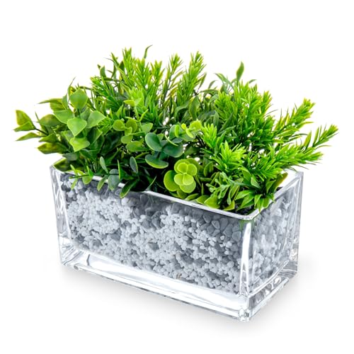 MyGift 7.8 inch Modern Rectangular Glass Vase, Trough Planter, Tabletop Glass Terrarium