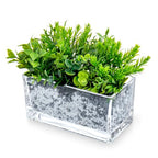 MyGift 7.8 inch Modern Rectangular Glass Vase, Trough Planter, Tabletop Glass Terrarium