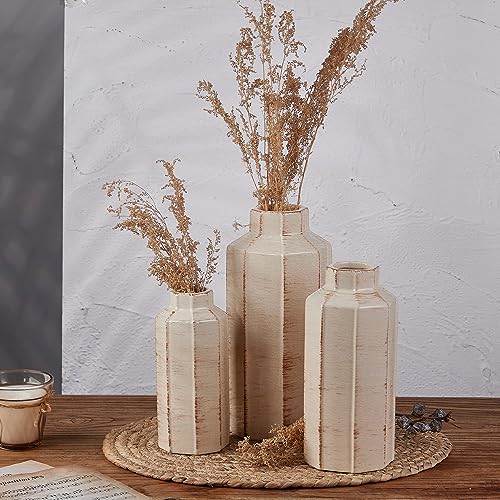 LUKA Ceramic Rustic Farmhouse Vase Set of 3,Ice Cracked Glazed Terracotta Vase,Large Vases for Decor,Fall Decoratiion Vases for Home, Table, Living Room, Shelf - color: 18096lms-ec-beige