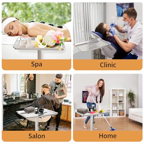 Salon Tray on Wheels, Rolling Tattoo Tray, Adjustable Hair Stylist Tray, Metal Mayo Stand Tray, Salon Color Tray Use As Medical Tray, No-Rusting - color: Silver
