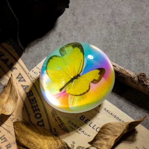 Real Butterfly Specimen in Iridescent Dome Resin - Random Seasonal Butterfly for Science Education, Biology Study, Oddities Collectors, and Nature Enthusiasts (2.5 x 1.3 Inches) - color: Butterfly Specimen (2.5" X 1.3")