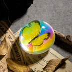 Real Butterfly Specimen in Iridescent Dome Resin - Random Seasonal Butterfly for Science Education, Biology Study, Oddities Collectors, and Nature Enthusiasts (2.5 x 1.3 Inches) - color: Butterfly Specimen (2.5" X 1.3")