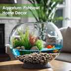 Craft And Party, Glass Bubble Bowl, 4.5" Height x 6" Width Glass Fish Bowl Vase, Bubble Bowl vase for Terrarium, Flower vase Centerpiece - size: Bubble Bowl : 4.5"H x 5.9"W