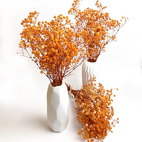 Preserved Baby's Breath 3 Bunches, 100% Natrual Fresh Gypsophila Long Lasting Flowers for Vase Arrangements Home Decoration Photo Props Parties and Weddings, DIY Décor-Orange - color: Orange