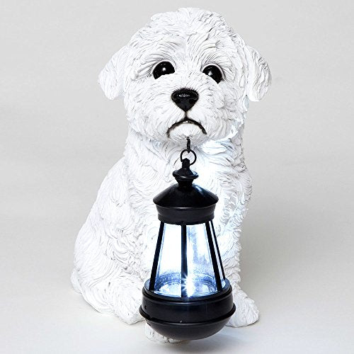 Bits and Pieces - Dog Solar Lantern Statue - Solar Powered Garden Lantern - Resin Dog Sculpture with LED Light - Outdoor Lighting and Décor (Bichon) - style: Bichon