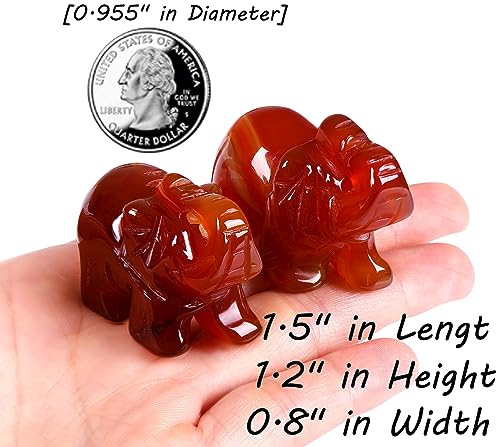 QINJIEJIE Red Carnelian Crystals Elephant Decor Cute Desk Stones Polished Figurine Natural Gemstones Luck Decoration Home Room Office Pocket Hippie Statue Meditation Spiritual Women - color: Red Carnelian