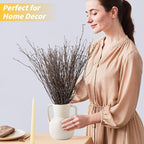 30Pcs Real Dried Birch Twigs - 16” Decorative 100% Natural Birch Branches for Easter Vases, Curly Willow Branches, DIY, Floral Arrangement, Twig Wreath, Centerpiece, Rustic Home Decor - size: 30