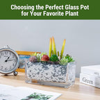 MyGift 7.8 inch Modern Rectangular Glass Vase, Trough Planter, Tabletop Glass Terrarium