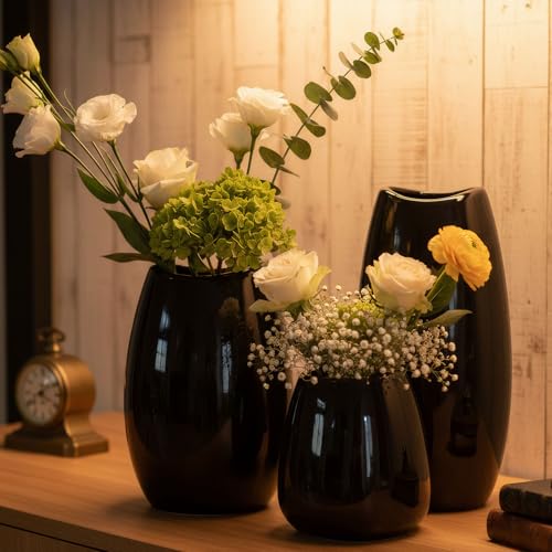 hjn Ceramic Vase Set of 3 Black Flower Vase for Home Decor, Modern Decorative Vase for Flowers/Ideal Shelf Decor/Table/Living Room/Kitchen/Office-Black - color: Black